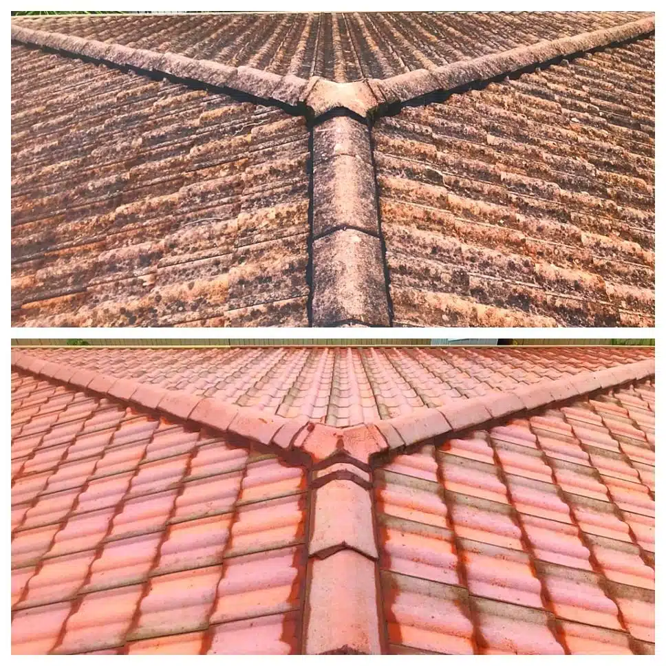 roof-cleaning-05-min