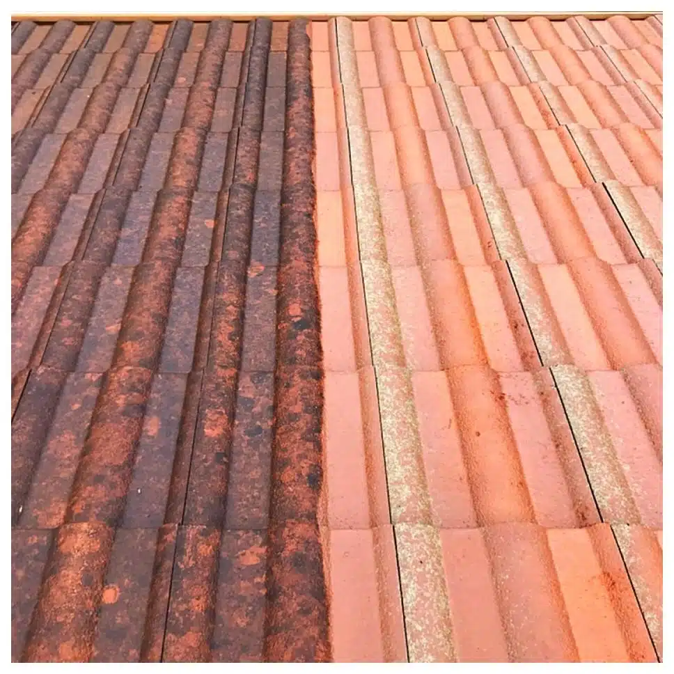 roof-cleaning-12-min