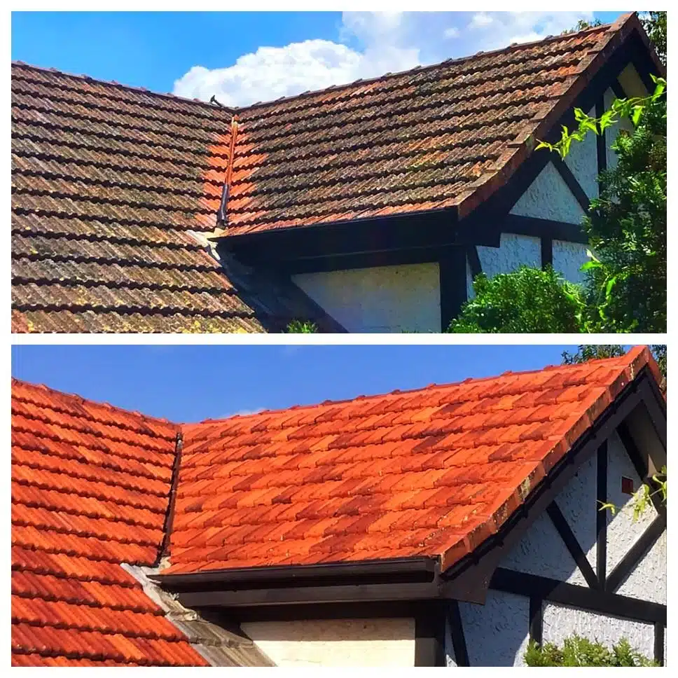 roof-cleaning-21-min