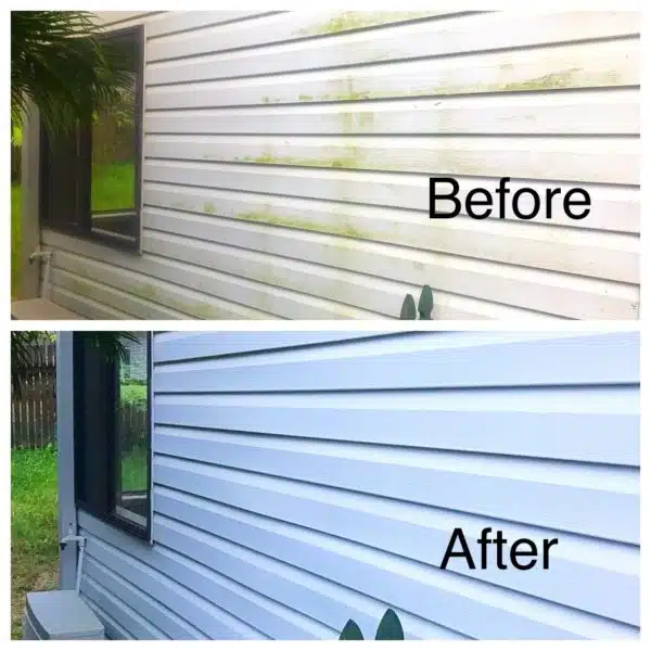 window-cleaning-01-min